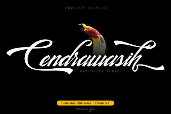 Cendrawasih: A Handwritten Font for Web Design