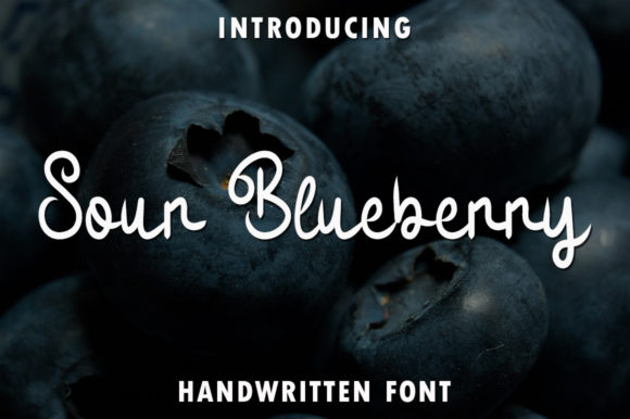 Sour Blueberry: A Bold, Juicy Script That Demands Attention